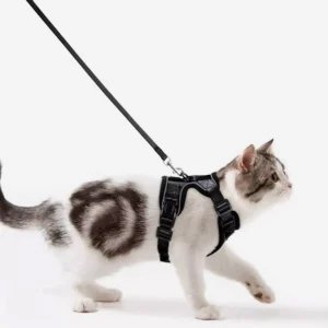 COLLARS, HARNESSES & LEASHES